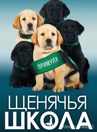 Щенячья школа смотреть онлайн