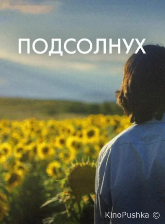 Подсолнух смотреть онлайн