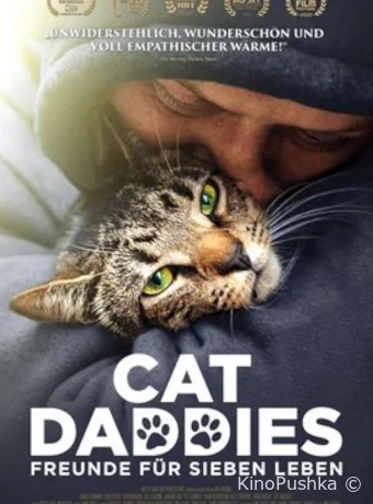 Котики смотреть онлайн