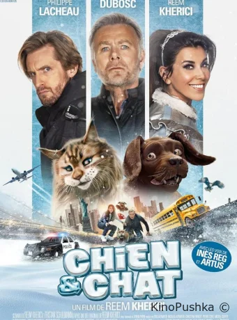 Кот и пёс смотреть онлайн