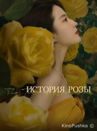 История розы смотреть онлайн