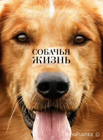 Собачья жизнь смотреть онлайн