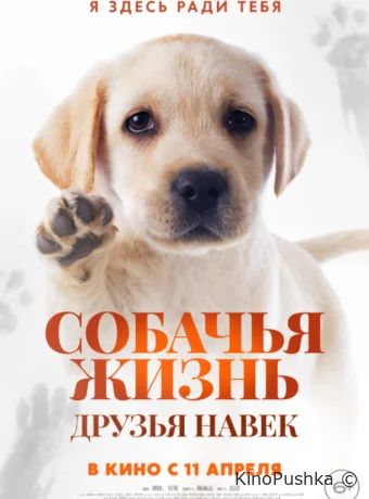 Собачья жизнь: Друзья навек смотреть онлайн