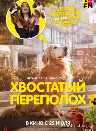 Хвостатый переполох смотреть онлайн