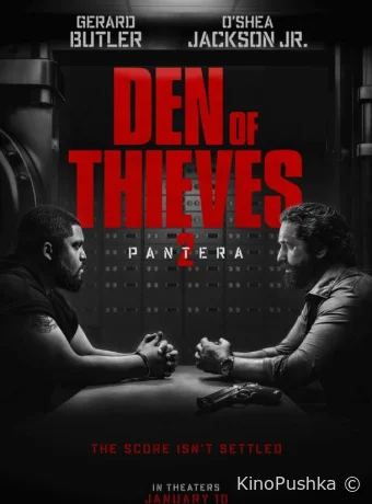 Охота на воров 2: Пантера смотреть онлайн