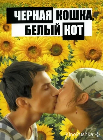 Черная кошка, белый кот смотреть онлайн