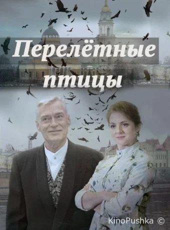 Перелётные птицы смотреть онлайн
