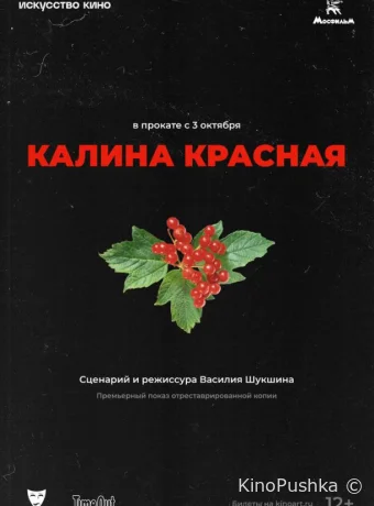Калина красная смотреть онлайн