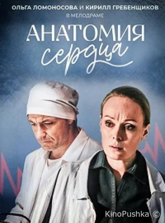 Анатомия сердца смотреть онлайн