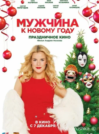 Мужчина к Новому году смотреть онлайн
