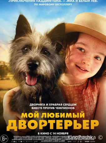 Мой любимый двортерьер смотреть онлайн