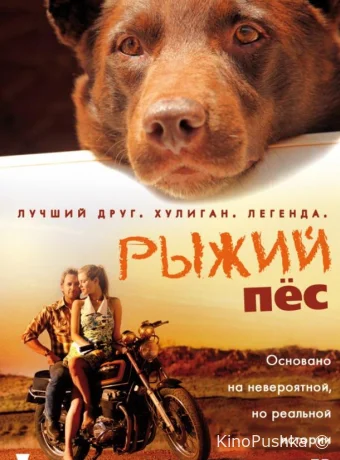 Рыжий пес смотреть онлайн