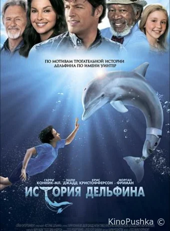 История дельфина смотреть онлайн