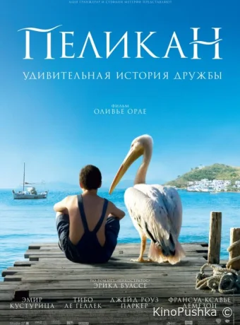 Пеликан смотреть онлайн
